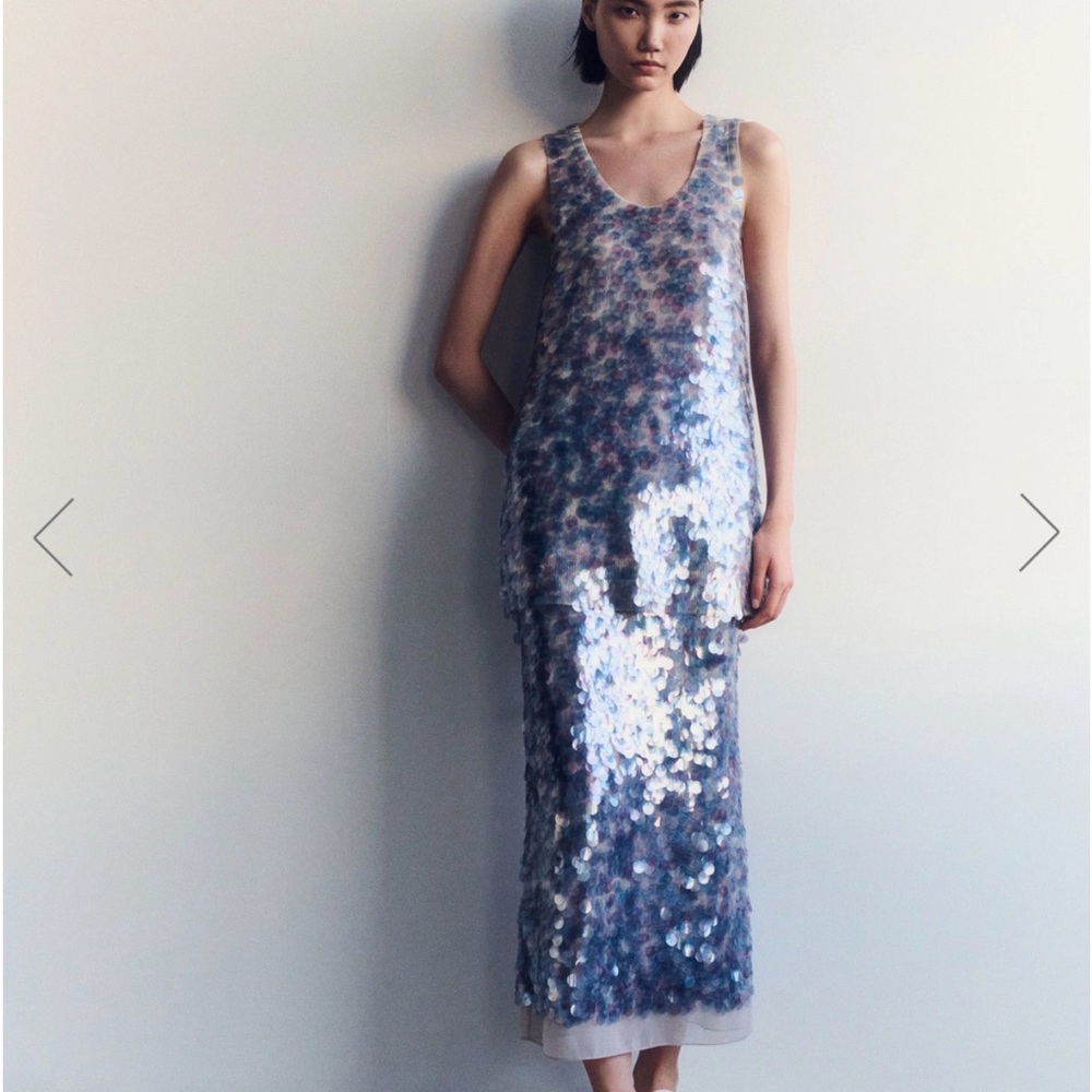 Hand placed sequin maxi skirt